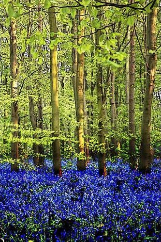 digital photography and imaging